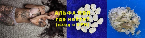индика Белоозёрский