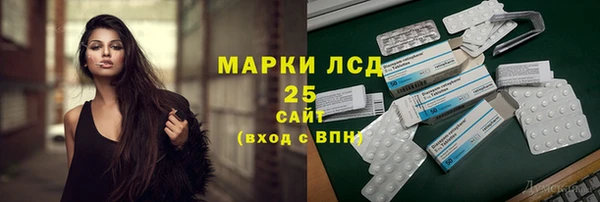 индика Белоозёрский