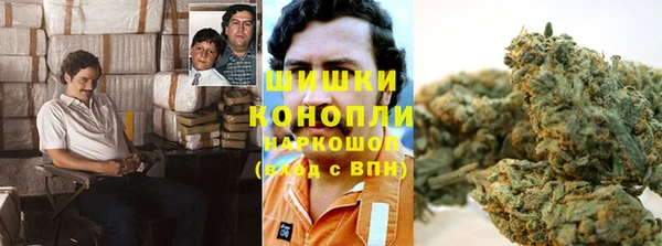 индика Белоозёрский