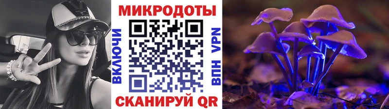 дарнет шоп  Сокол  Галлюциногенные грибы Magic Shrooms 